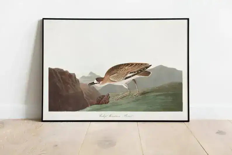 Vintage Bird Art Prints| Bird Poster