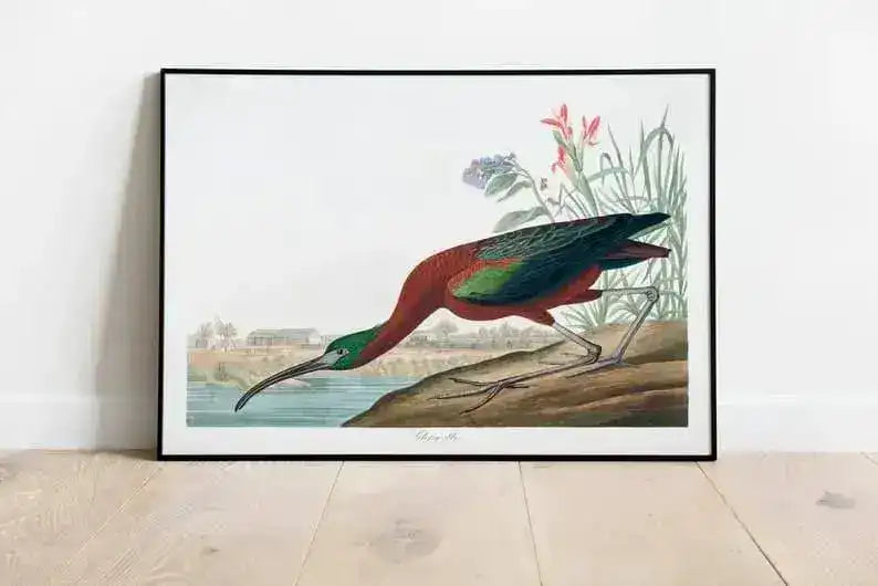 Vintage Bird Art Prints| Bird Poster
