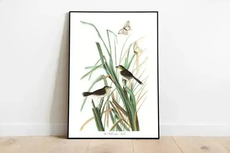 Vintage Bird Art Prints| Bird Poster
