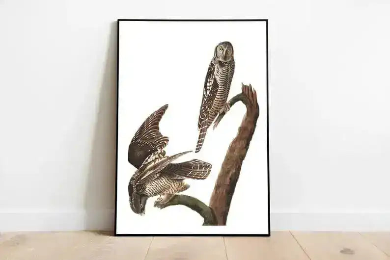 Vintage Bird Art Prints| Bird Poster