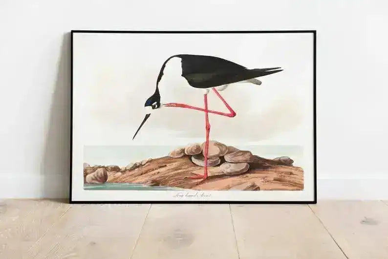 Vintage Bird Art Prints| Bird Poster