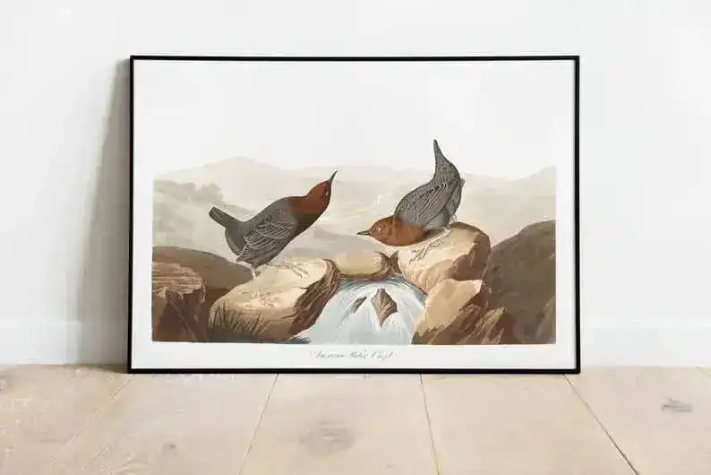 Vintage Bird Art Prints| Bird Poster
