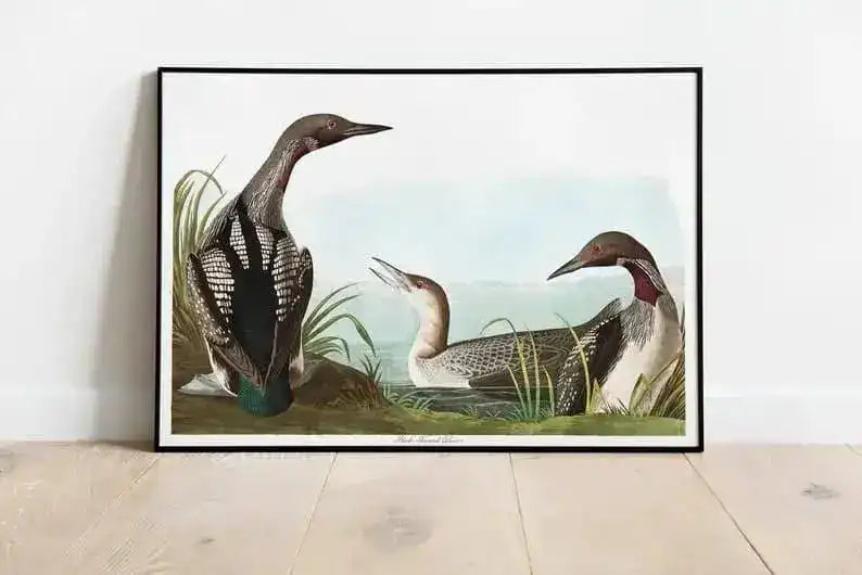 Vintage Bird Art Prints| Bird Poster
