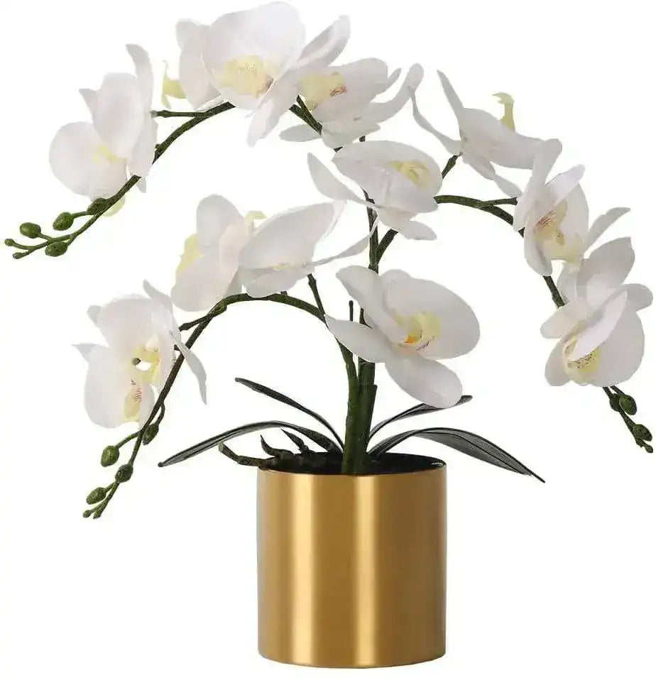 Realistic Orchid with Gold Pot