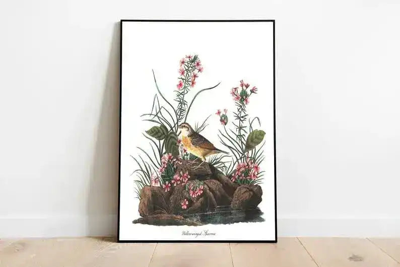 Vintage Bird Art Prints| Bird Poster