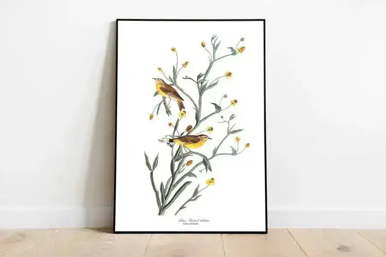 Vintage Bird Art Prints| Bird Poster