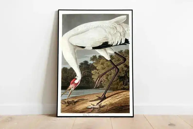 Vintage Bird Art Prints| Bird Poster