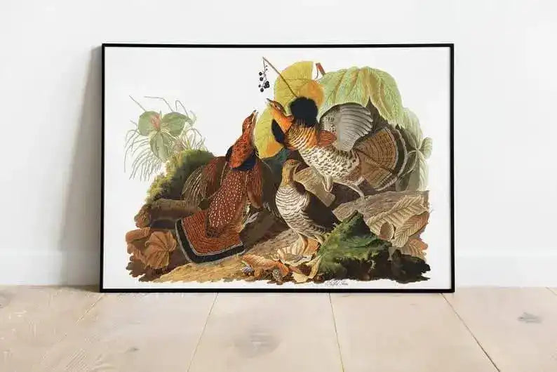 Vintage Bird Art Prints| Bird Poster