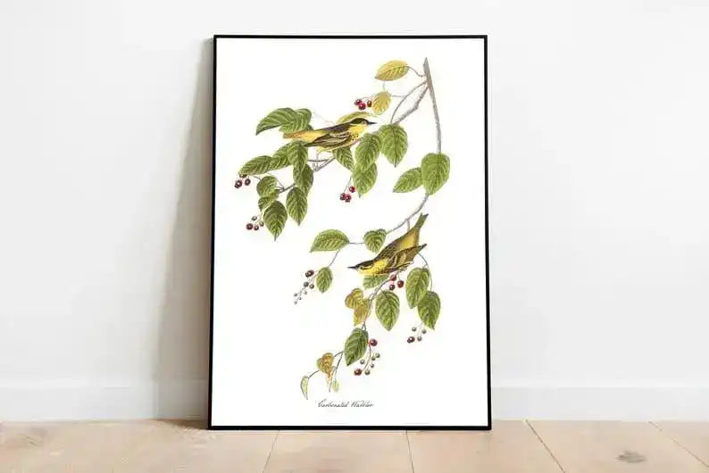 Vintage Bird Art Prints| Bird Poster