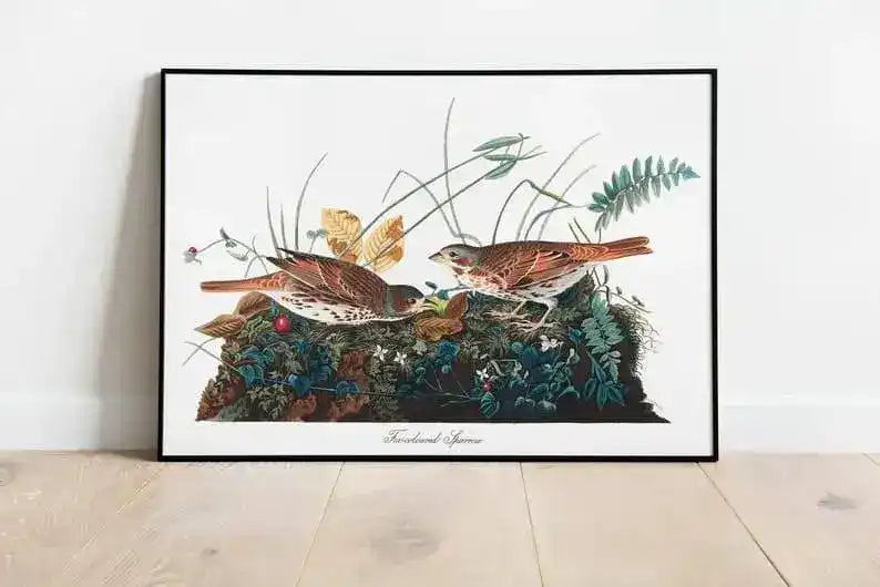 Vintage Bird Art Prints| Bird Poster