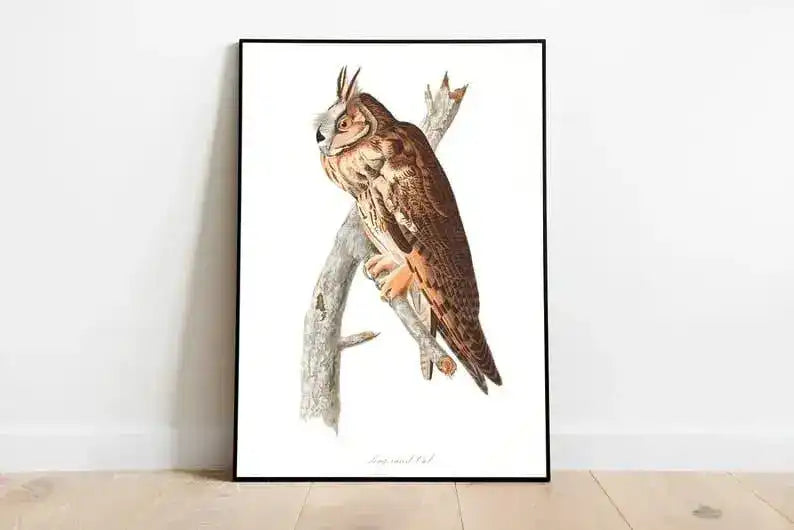 Vintage Bird Art Prints| Bird Poster