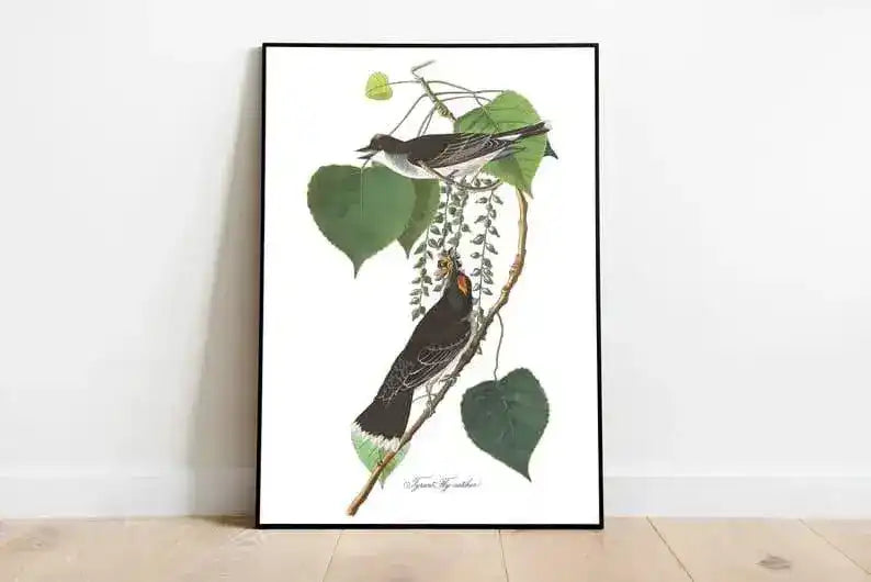 Vintage Bird Art Prints| Bird Poster