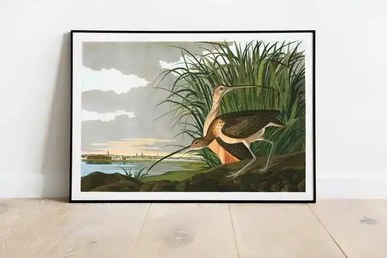 Vintage Bird Art Prints| Bird Poster