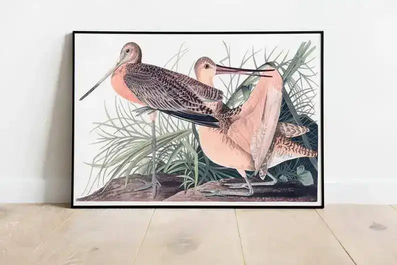 Vintage Bird Art Prints| Bird Poster