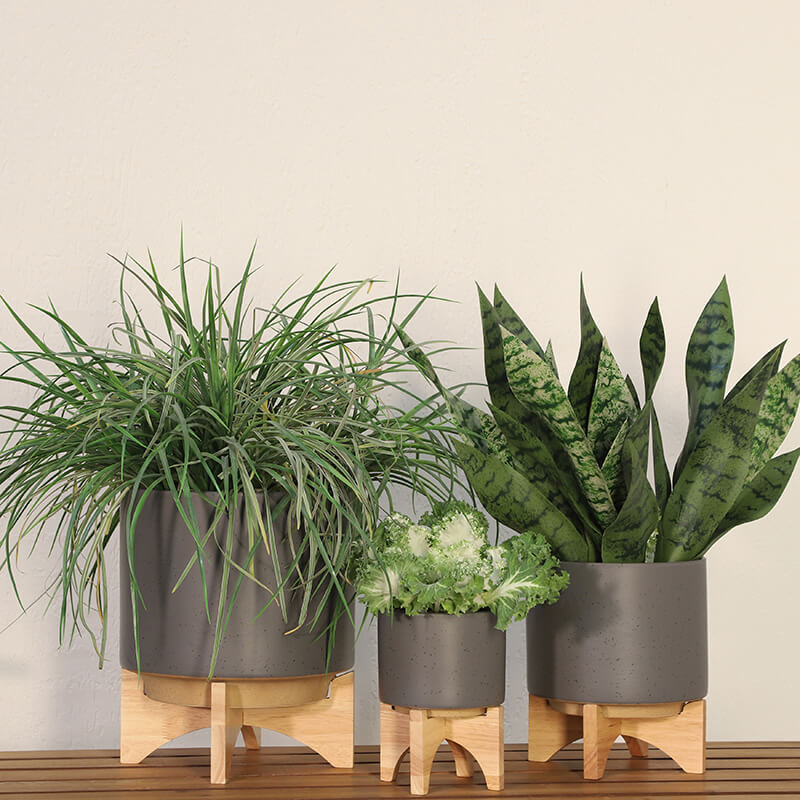 5" Matte Gray Ceramic Planter On Wooden Stand