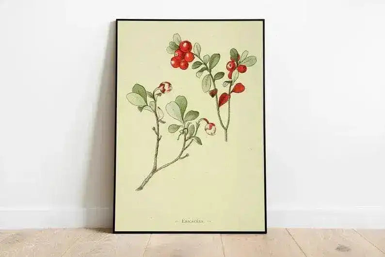 Cowberry Flower Wall Print| Botanical Wall Art