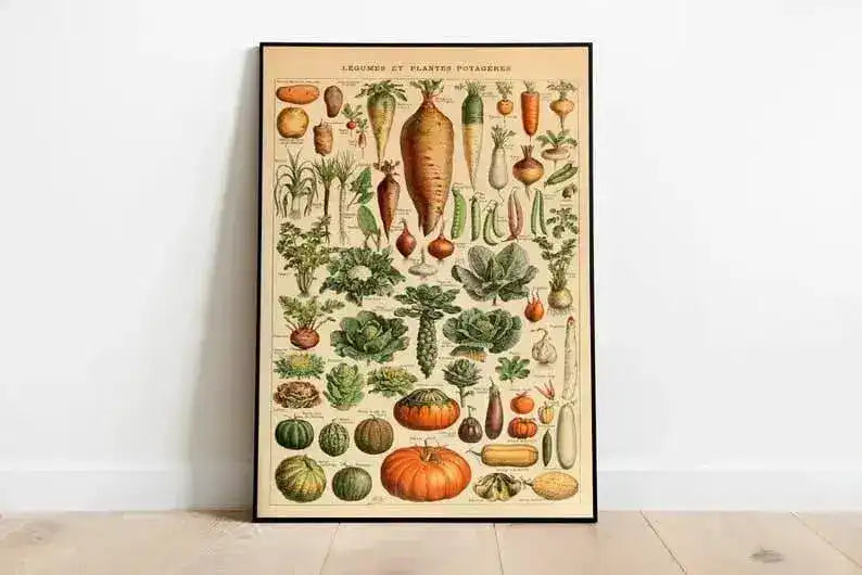 Vegetables Chart| Vegetables Diagram