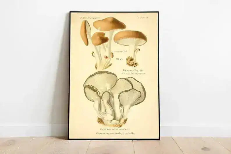 Mushroom Wall Print| Botanical Wall Art