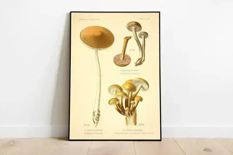 Mushroom Wall Print| Botanical Wall Art