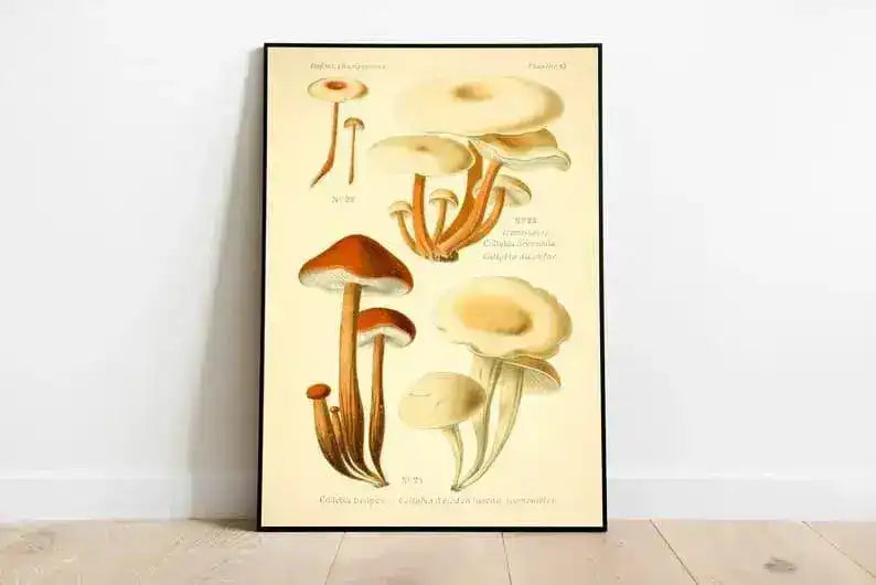 Mushroom Wall Print| Botanical Wall Art