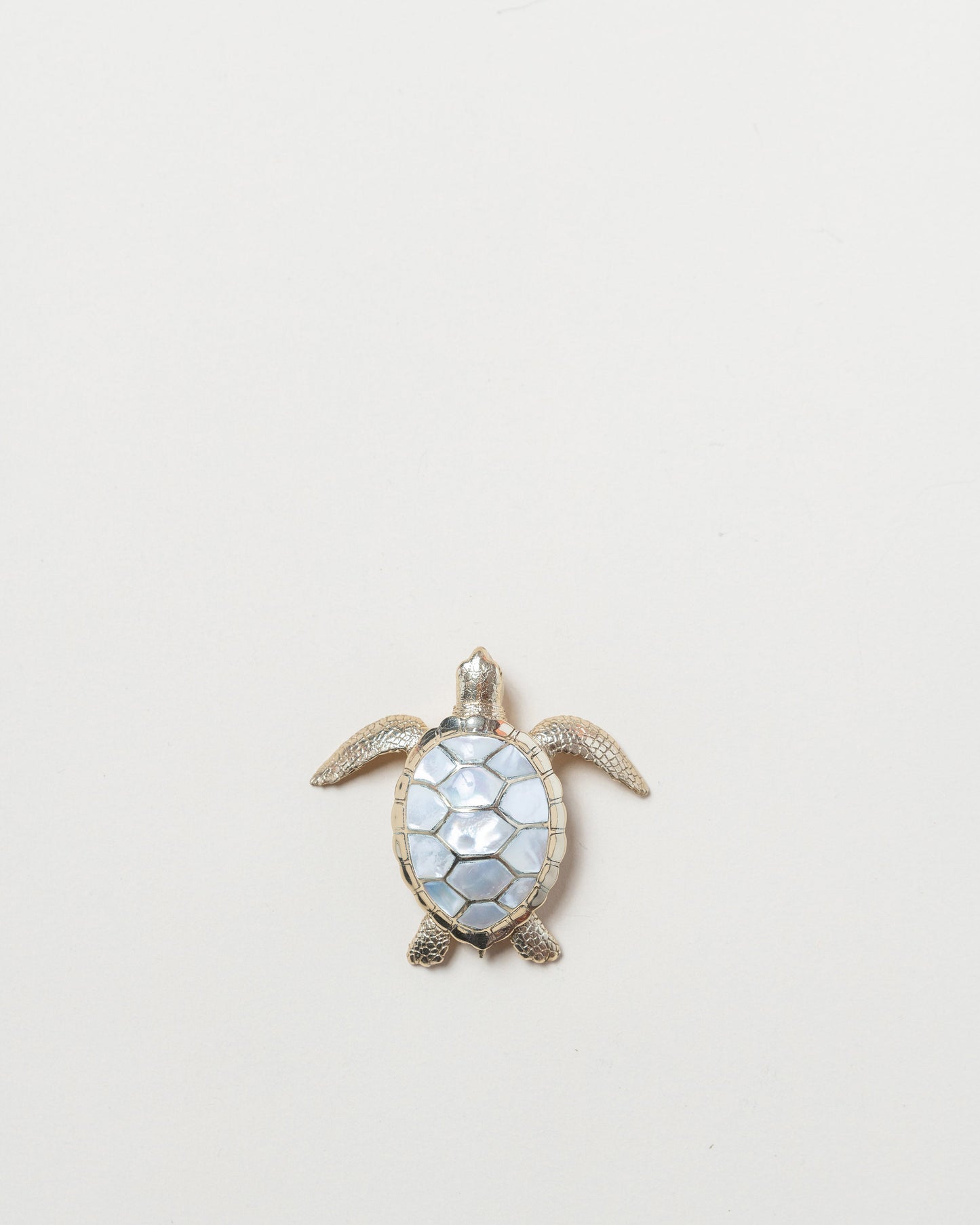 Small Turtle Box/White Pearl