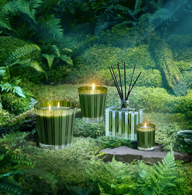 Nest Midnight Moss & Vetiver 3-Wick Candle