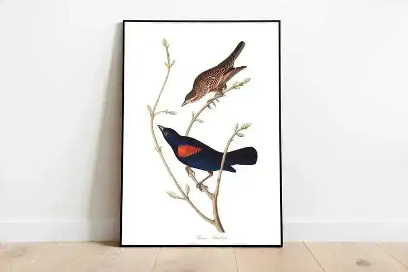 Vintage Bird Art Prints| Bird Poster