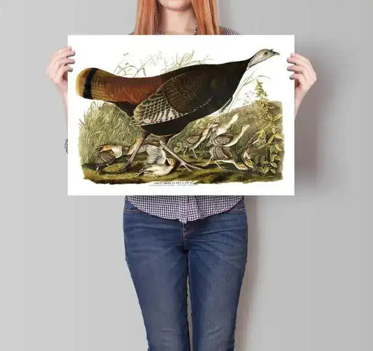 Vintage Bird Art Prints| Bird Poster