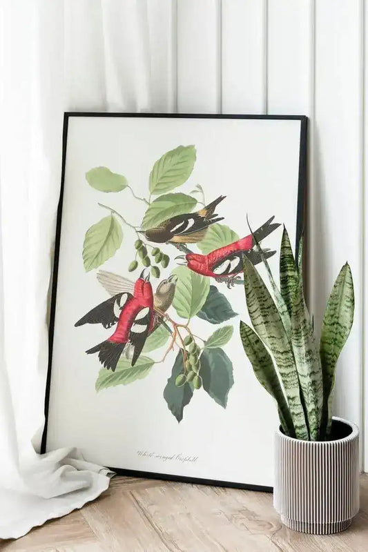 Vintage Bird Art Prints| Bird Poster