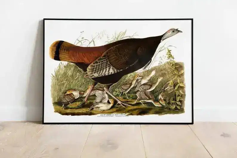 Vintage Bird Art Prints| Bird Poster