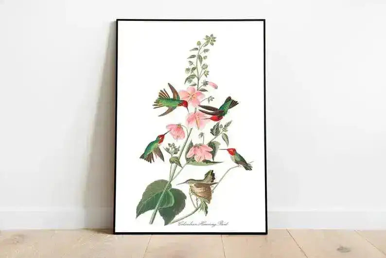 Vintage Bird Art Prints| Bird Poster