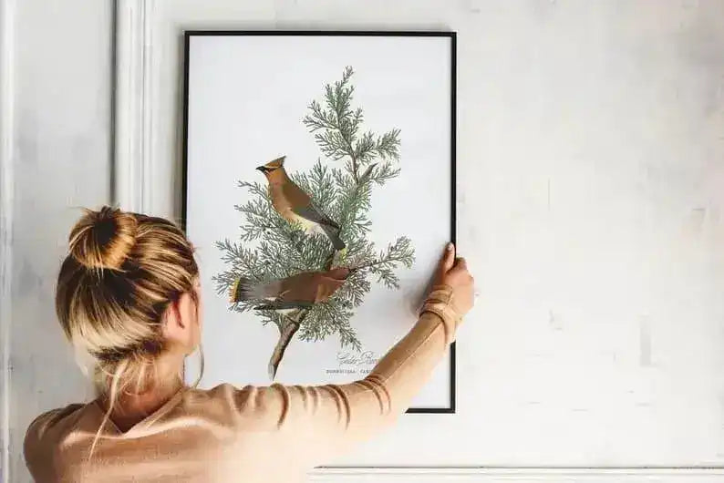 Vintage Bird Art Prints| Bird Poster
