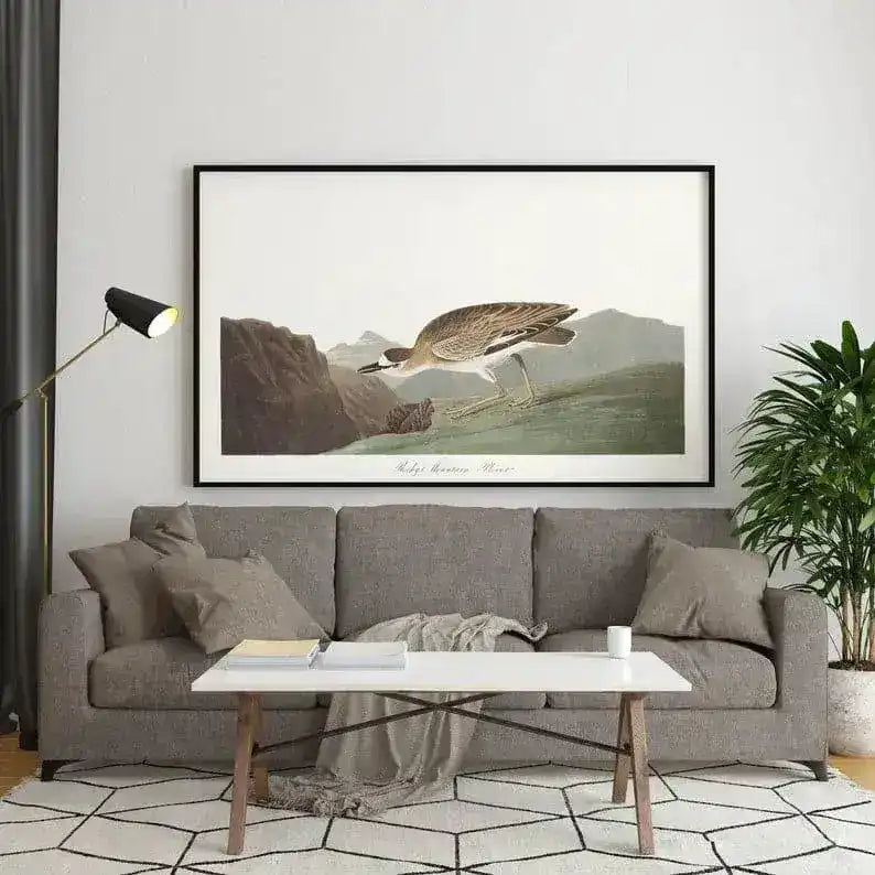 Vintage Bird Art Prints| Bird Poster