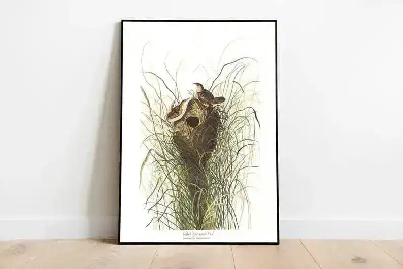 Vintage Bird Art Prints| Bird Poster