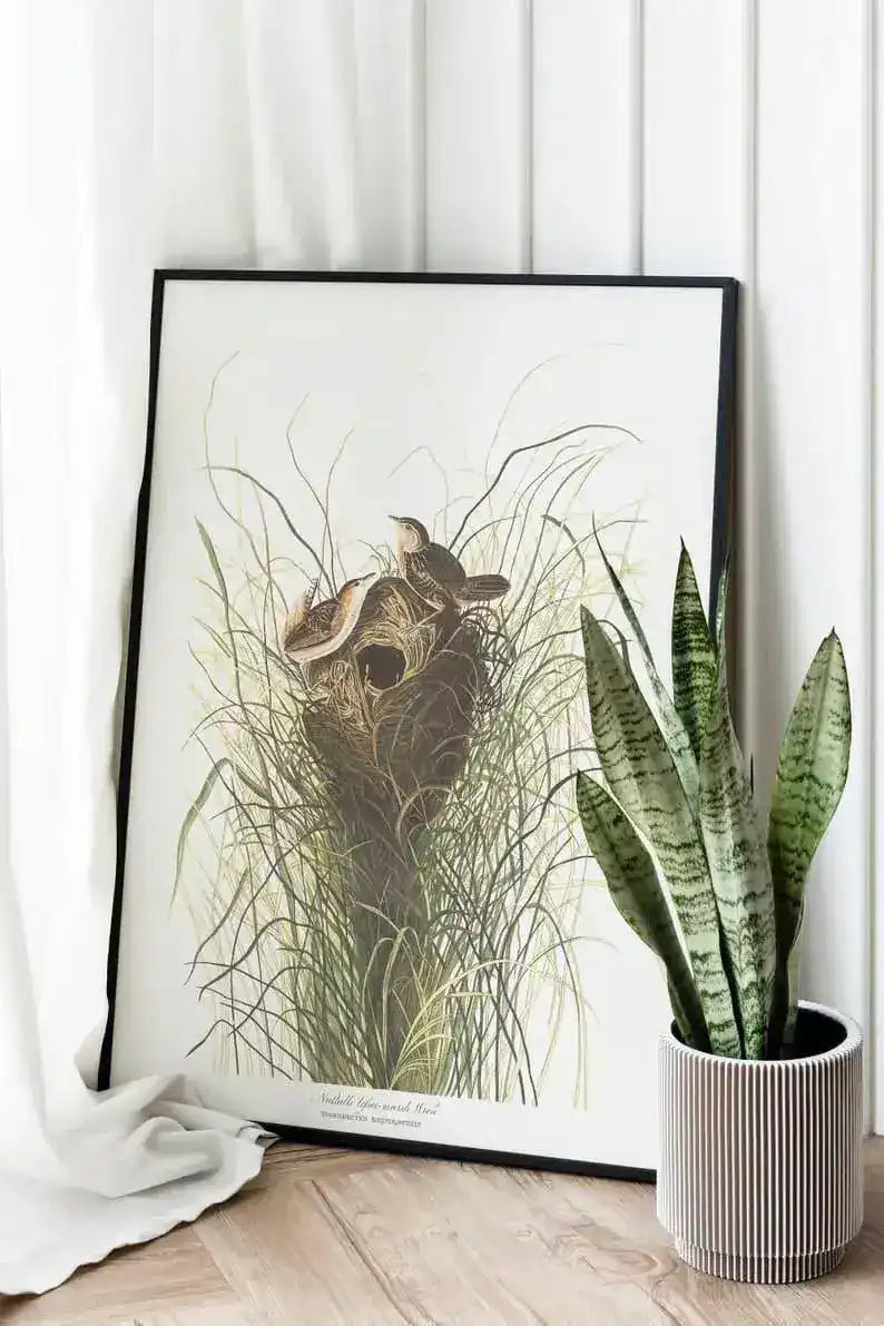 Vintage Bird Art Prints| Bird Poster