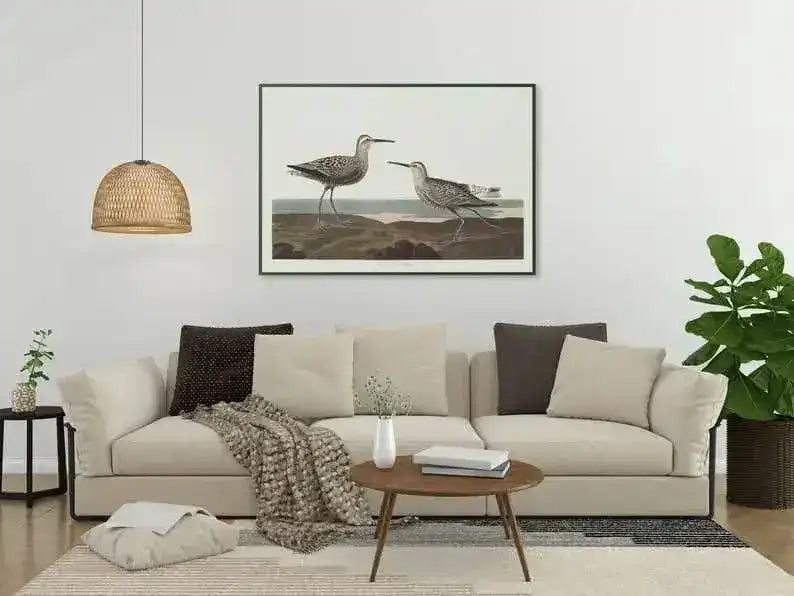 Vintage Bird Art Prints| Bird Poster