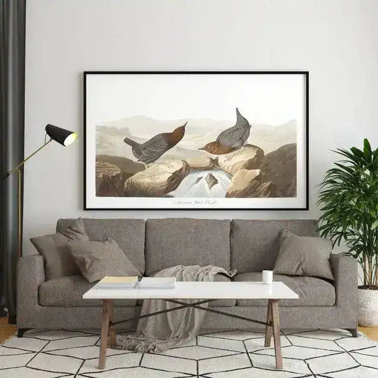 Vintage Bird Art Prints| Bird Poster