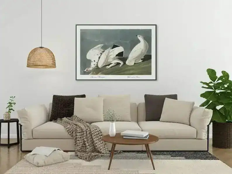 Vintage Bird Art Prints| Bird Poster