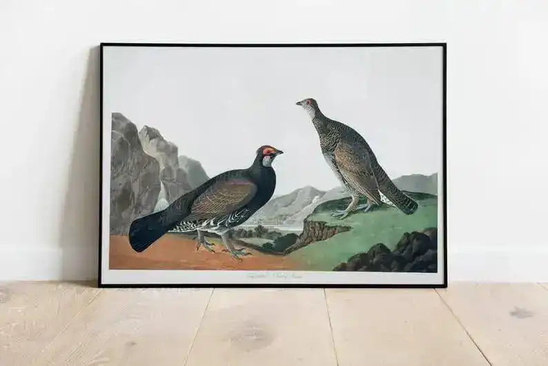 Vintage Bird Art Prints| Bird Poster