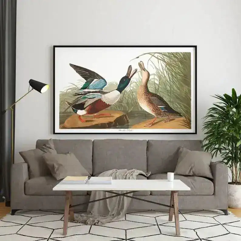 Vintage Bird Art Prints| Bird Poster
