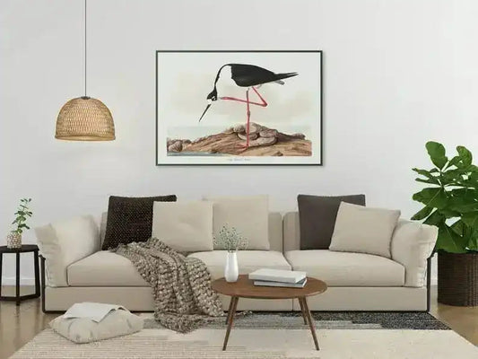 Vintage Bird Art Prints| Bird Poster
