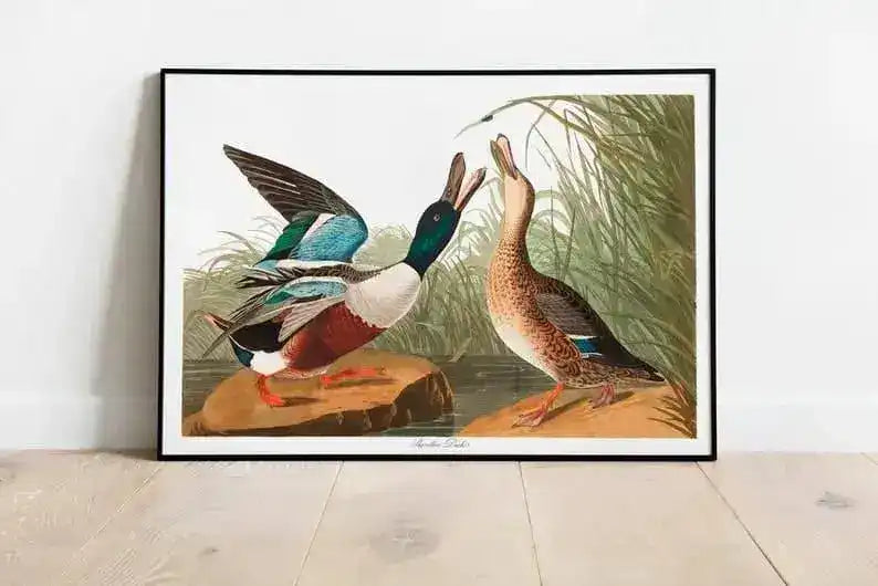 Vintage Bird Art Prints| Bird Poster
