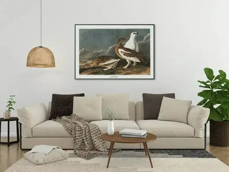 Vintage Bird Art Prints| Bird Poster