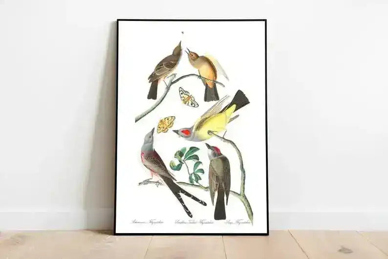 Vintage Bird Art Prints| Bird Poster