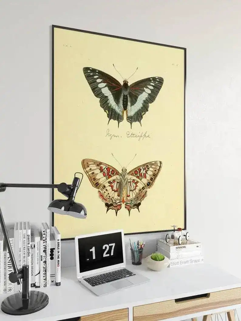 Butterfly Poster Print| Vintage Science Print
