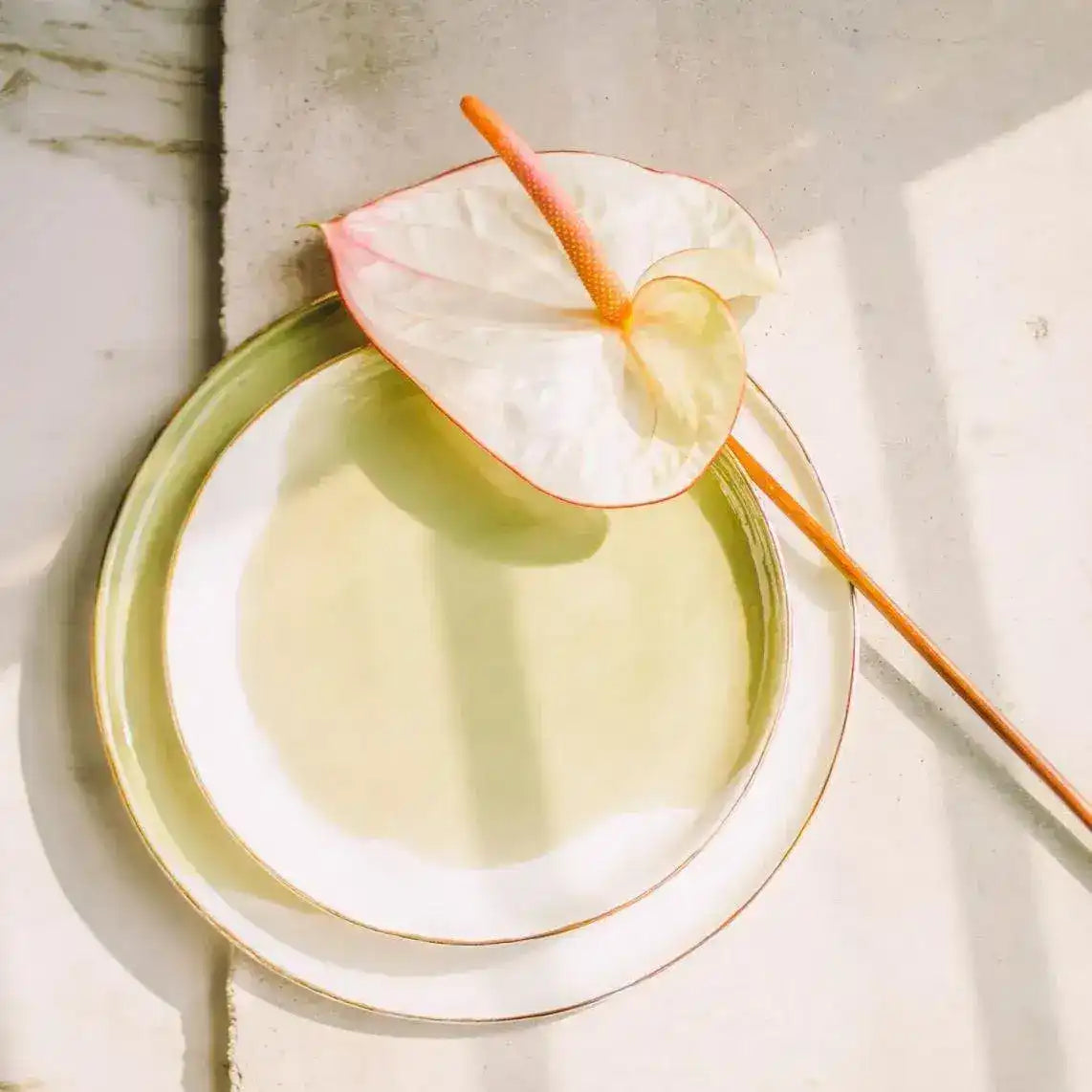 Hand Painted Porcelain Plate