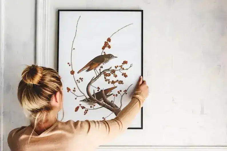 Vintage Bird Art Prints| Bird Poster