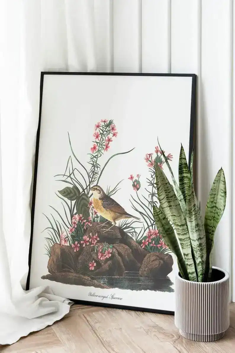 Vintage Bird Art Prints| Bird Poster