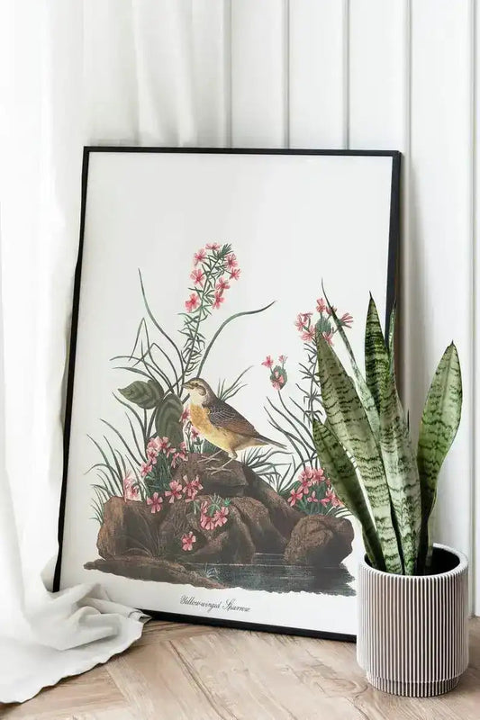 Vintage Bird Art Prints| Bird Poster