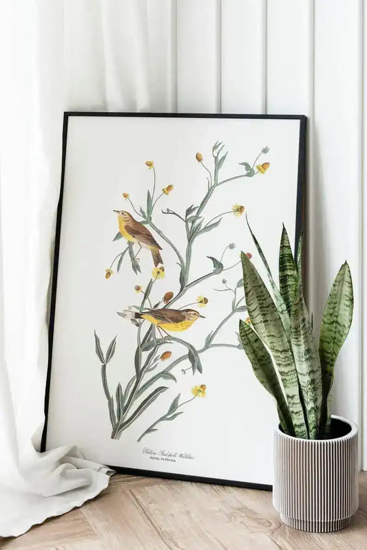 Vintage Bird Art Prints| Bird Poster